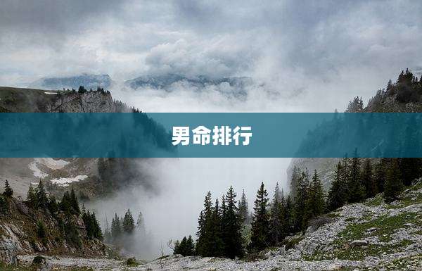 男命排行