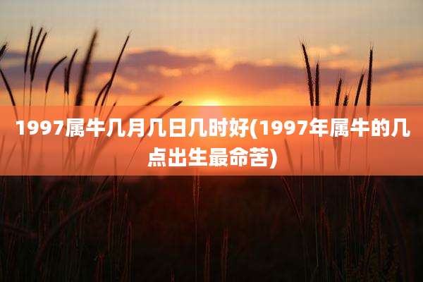 1997属牛几月几日几时好(1997年属牛的几点出生最命苦)