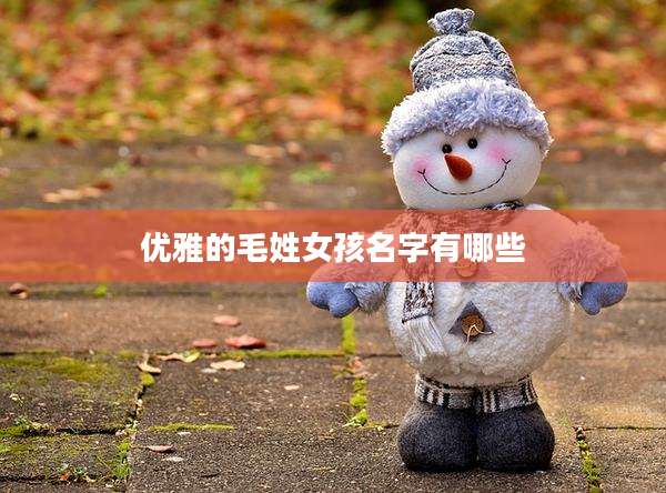 优雅的毛姓女孩名字有哪些