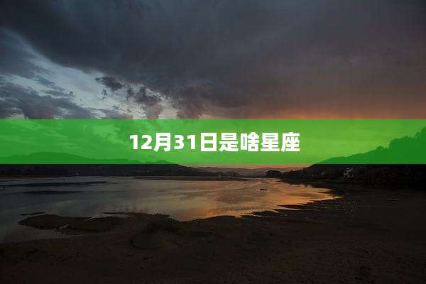 12月31日是啥星座