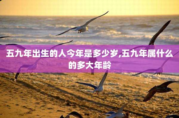 五九年出生的人今年是多少岁,五九年属什么的多大年龄