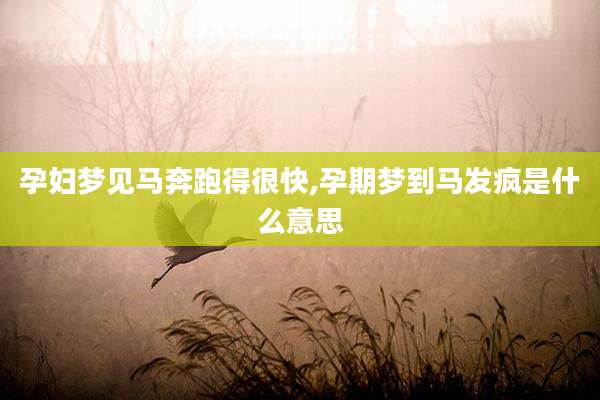 孕妇梦见马奔跑得很快,孕期梦到马发疯是什么意思