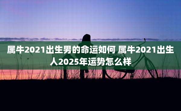 属牛2021出生男的命运如何 属牛2021出生人2025年运势怎么样