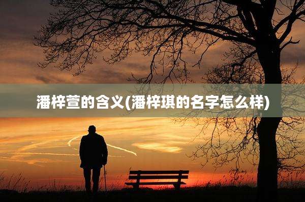 潘梓萱的含义(潘梓琪的名字怎么样)