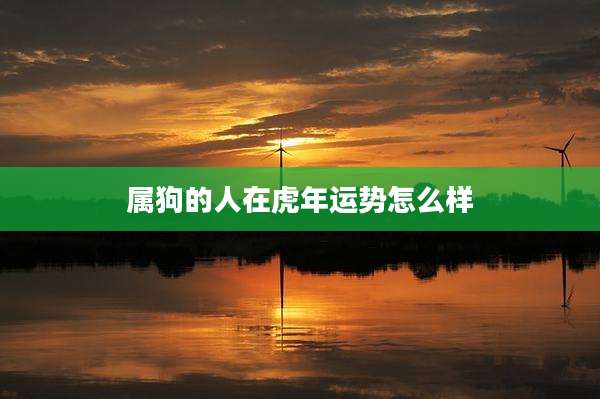 属狗的人在虎年运势怎么样
