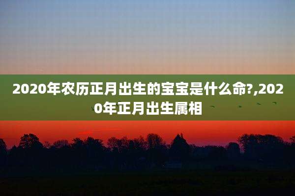 2020年农历正月出生的宝宝是什么命?,2020年正月出生属相
