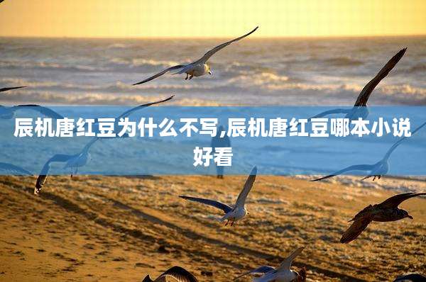 辰机唐红豆为什么不写,辰机唐红豆哪本小说好看