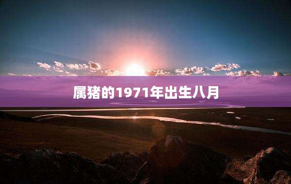 属猪的1971年出生八月