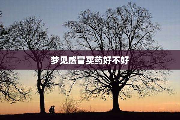 梦见感冒买药好不好