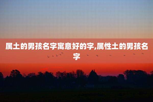 属土的男孩名字寓意好的字,属性土的男孩名字