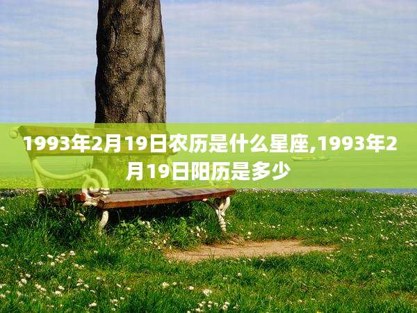 1993年2月19日农历是什么星座,1993年2月19日阳历是多少