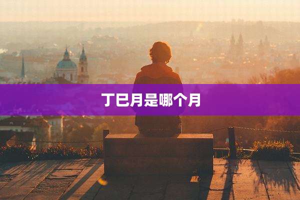 丁巳月是哪个月