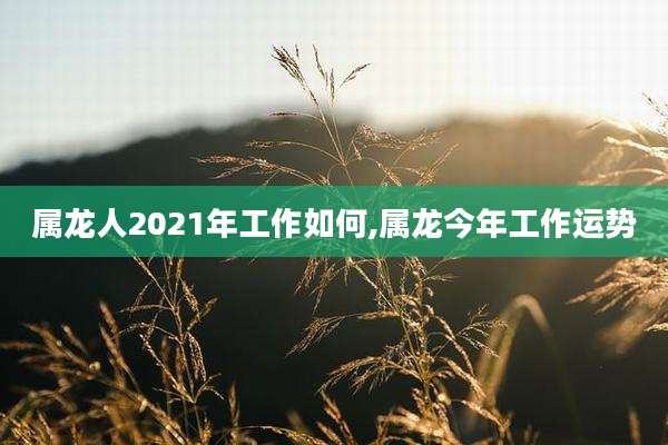 属龙人2021年工作如何,属龙今年工作运势