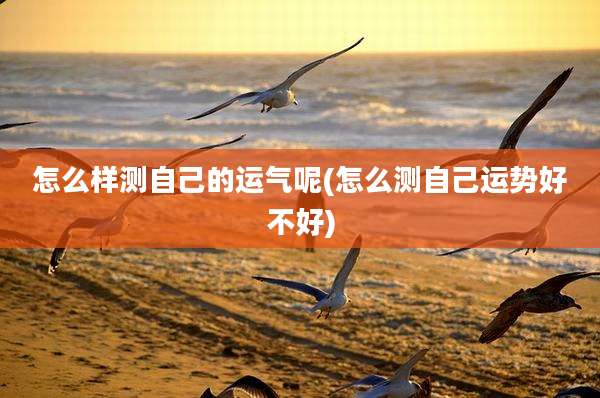 怎么样测自己的运气呢(怎么测自己运势好不好)