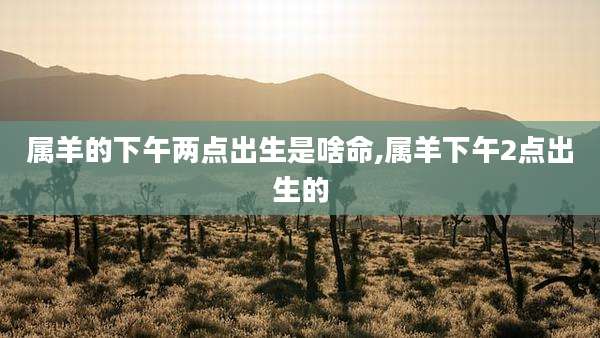 属羊的下午两点出生是啥命,属羊下午2点出生的