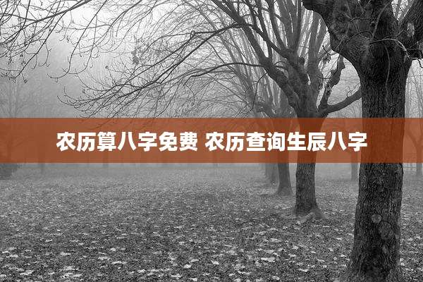 农历算八字免费 农历查询生辰八字