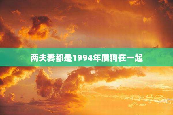 两夫妻都是1994年属狗在一起