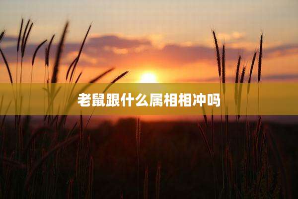 老鼠跟什么属相相冲吗