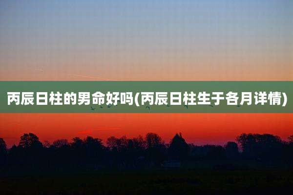 丙辰日柱的男命好吗(丙辰日柱生于各月详情)
