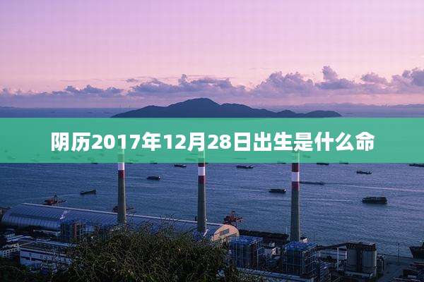 阴历2017年12月28日出生是什么命