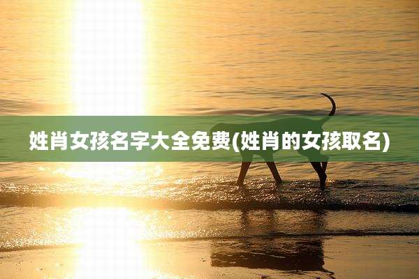 姓肖女孩名字大全免费(姓肖的女孩取名)