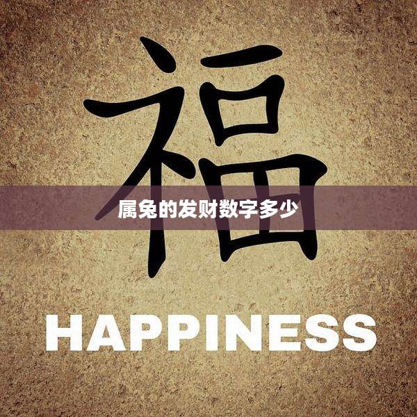 属兔的发财数字多少