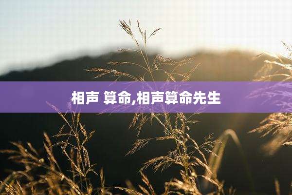 相声 算命,相声算命先生