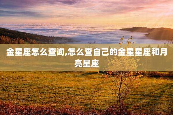 金星座怎么查询,怎么查自己的金星星座和月亮星座