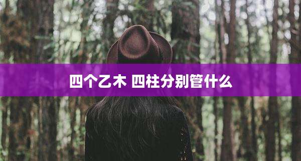 四个乙木 四柱分别管什么