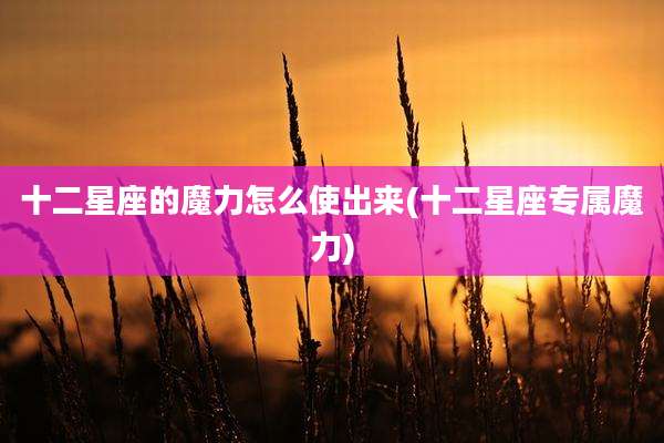 十二星座的魔力怎么使出来(十二星座专属魔力)