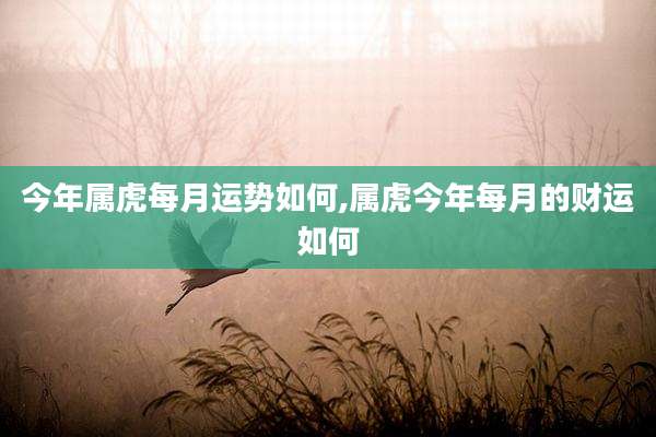 今年属虎每月运势如何,属虎今年每月的财运如何