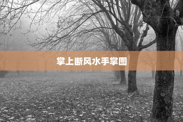 掌上断风水手掌图