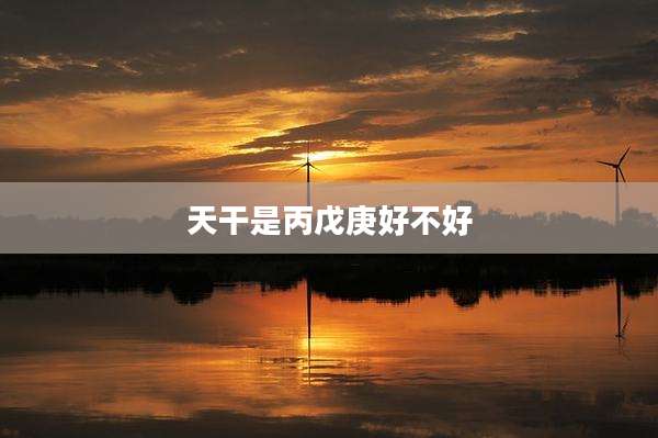 天干是丙戊庚好不好