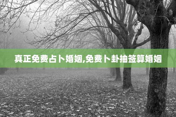 真正免费占卜婚姻,免费卜卦抽签算婚姻