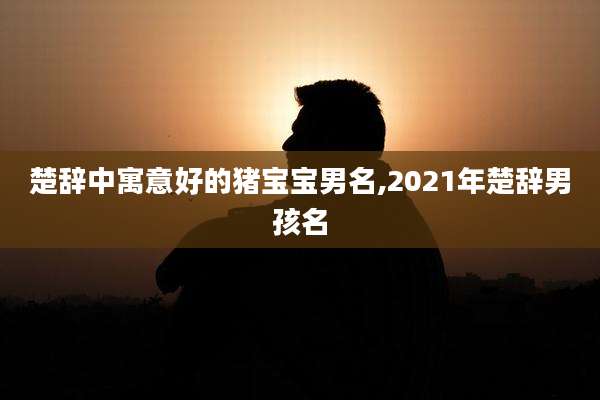 楚辞中寓意好的猪宝宝男名,2021年楚辞男孩名