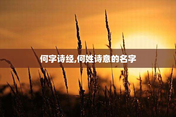 何字诗经,何姓诗意的名字