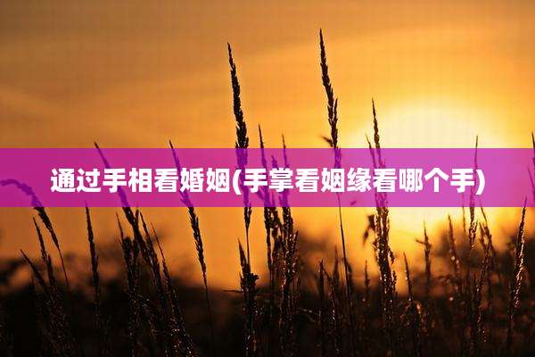 通过手相看婚姻(手掌看姻缘看哪个手)