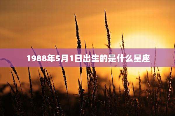 1988年5月1日出生的是什么星座