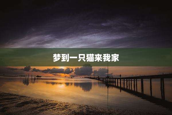 梦到一只猫来我家