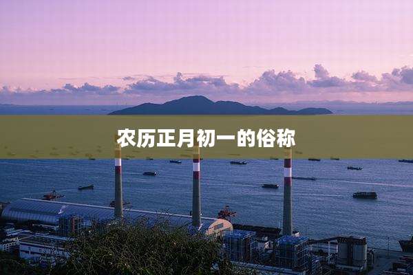 农历正月初一的俗称