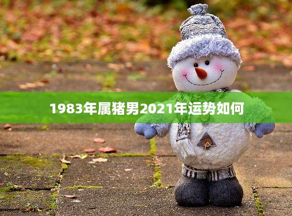 1983年属猪男2021年运势如何