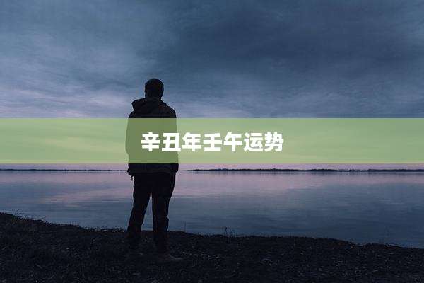 辛丑年壬午运势