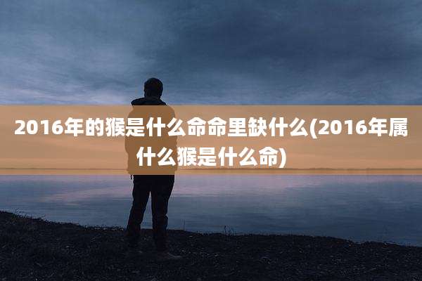 2016年的猴是什么命命里缺什么(2016年属什么猴是什么命)