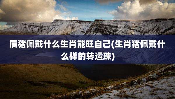 属猪佩戴什么生肖能旺自己(生肖猪佩戴什么样的转运珠)