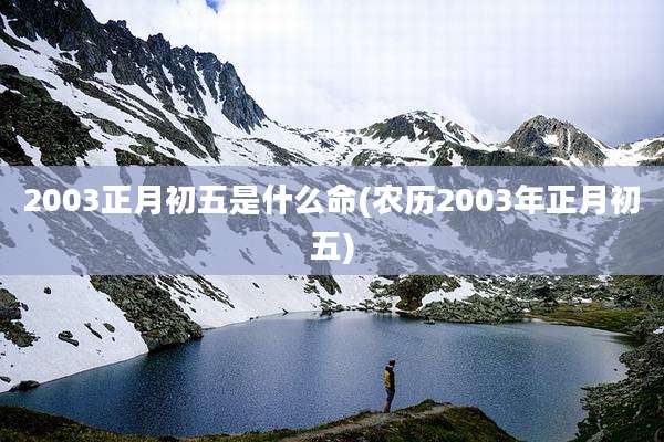 2003正月初五是什么命(农历2003年正月初五)