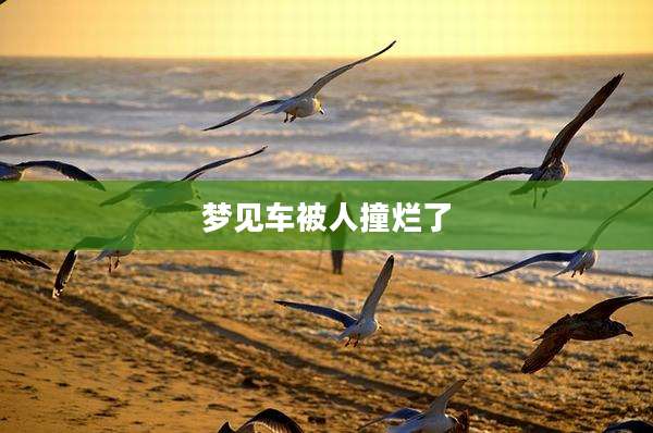 梦见车被人撞烂了