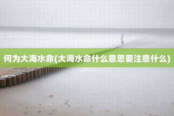 何为大海水命(大海水命什么意思要注意什么)