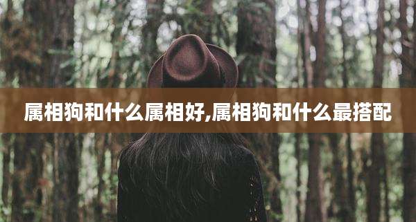 属相狗和什么属相好,属相狗和什么最搭配