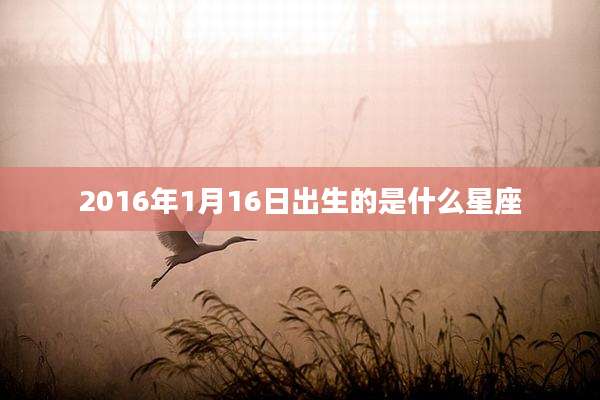 2016年1月16日出生的是什么星座