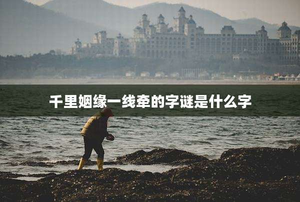 千里姻缘一线牵的字谜是什么字